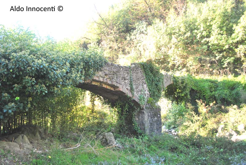 PONTE DEL PICCHIO 10